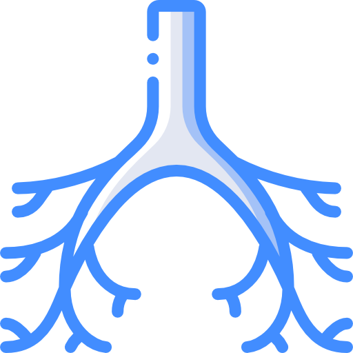 Chronic Cough